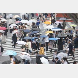 雨の日が楽しみに？（Ｃ）日刊ゲンダイ