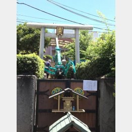 水神社で社殿の取り壊し作業が進む（Ｃ）日刊ゲンダイ