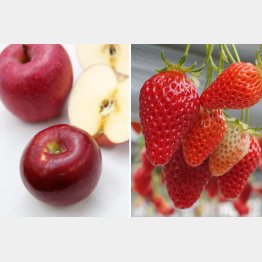 果物は野菜より農薬が多く検出される（Ｃ）日刊ゲンダイ