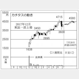 カチタス（Ｃ）日刊ゲンダイ