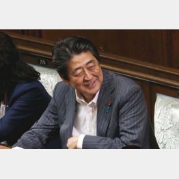 安倍晋三（Ｃ）日刊ゲンダイ