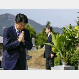 父・晋太郎元外相の墓前で手を合わせる安倍首相（Ｃ）共同通信社