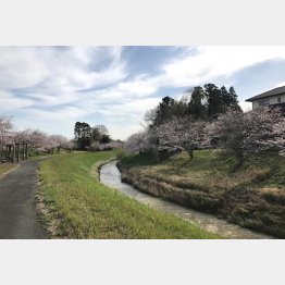 自然豊かな風景が広がる睦沢町（提供写真）