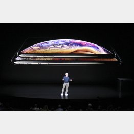 新型ｉＰｈｏｎｅ（Ｃ）共同通信社