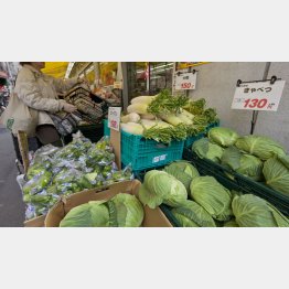 野菜の値段が上がる（Ｃ）日刊ゲンダイ
