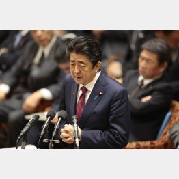 衆院予算委員会で答弁する安倍首相（Ｃ）日刊ゲンダイ