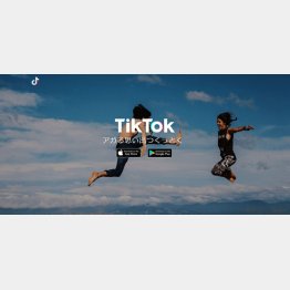 TikTok（ティックトック）公式ＨＰ