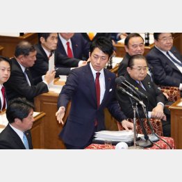 小泉進次郎衆議院議員（Ｃ）日刊ゲンダイ