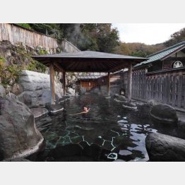 静岡県・桜田温泉「山芳園」（提供写真）