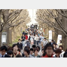 大学の系列校は学費も高額（慶應義塾大学の日吉キャンパス）／（Ｃ）日刊ゲンダイ