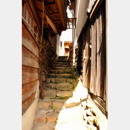 金山・筋骨めぐり（提供写真）