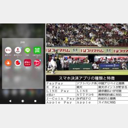 スポーツ観戦が趣味なら楽天ペイ（Ｃ）共同通信社