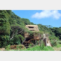 沖縄・国頭村やんばるの森で見た鬼太郎ハウスのセット（Ｃ）日刊ゲンダイ