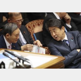 安倍総理発言と菅長官発言の双方を並べて考えてみる（Ｃ）日刊ゲンダイ