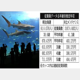 明治海運と共立メンテナンス（写真は、沖縄美ら海水族館）（Ｃ）日刊ゲンダイ