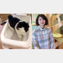 愛猫の健康管理ができる「トレッタ」（左）と「ハチたま」の松原あゆみ氏（提供写真）