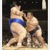 先場所11勝の琴奨菊を破った貴景勝（Ｃ）共同通信社