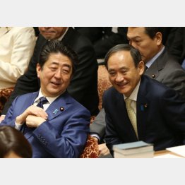 令和ファシズムタッグ(C)日刊ゲンダイ