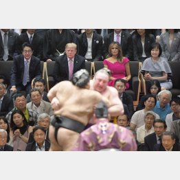 驚くほどの破格の待遇（相撲観戦をするトランプ米大統領夫妻と安倍首相夫妻）／（Ｃ）共同通信社