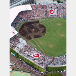 甲子園で初の「智弁」対決となった2002年夏（Ｃ）共同通信社