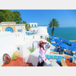 チュニジア首都チュニスの近郊「シディ・ブ・サイド」は"白と青の小さな楽園"と称される／(撮影・歩りえこ)