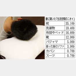 「洗える枕」が各種売られている（Ｃ）日刊ゲンダイ