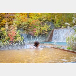 金の湯で仕上げるのがオススメの入り方（提供写真）