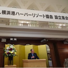 設立集会の冒頭で挨拶をしたＹＨＲの藤木幸夫会長（Ｃ）日刊ゲンダイ