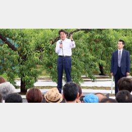 安倍首相は福島市の「福島あづま果樹園」で第一声／（Ｃ）日刊ゲンダイ