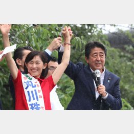 東京選挙区は、ぶっちぎりの丸川珠代候補のうらで武見敬三候補が最下位争い（Ｃ）日刊ゲンダイ