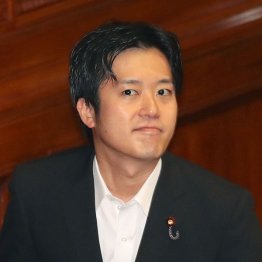 丸山穂高衆院議員（Ｃ）日刊ゲンダイ