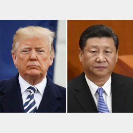 トランプ米大統領と習近平国家主席（Ｃ）ロイター＝共同