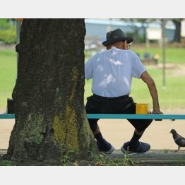 写真はイメージ（Ｃ）日刊ゲンダイ