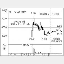 ギークス（Ｃ）日刊ゲンダイ