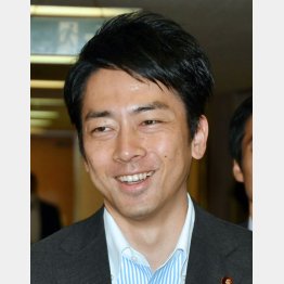 小泉進次郎（Ｃ）日刊ゲンダイ