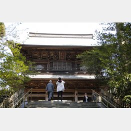 のんびり散策（鎌倉の円覚寺）／（Ｃ）日刊ゲンダイ