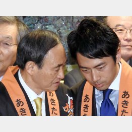 実は今に始まった仲ではなかった！？（2016年のイベントでの菅官房長官と小泉環境相）／（Ｃ）日刊ゲンダイ