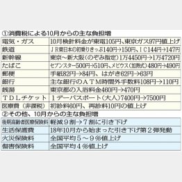 大型間接税は災害大国、高齢化社会にふさわしくない（Ｃ）日刊ゲンダイ