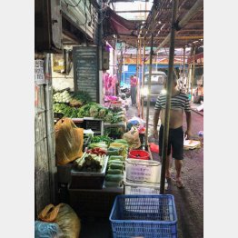 長沙の街並み。どの店でも野菜がおいしかった（Ｃ）日刊ゲンダイ