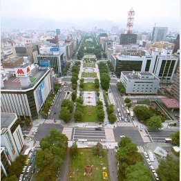 発着点として有力視される札幌大通公園（Ｃ）日刊ゲンダイ