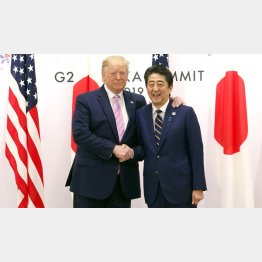 日本が得した具体例は挙げることはできない（安倍首相とトランプ米大統領）／（Ｃ）日刊ゲンダイ