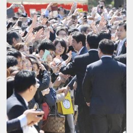 招待で有権者に猛アピール（安倍首相）／（Ｃ）日刊ゲンダイ