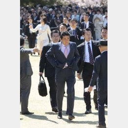 走り回って招待客に挨拶する安倍首相（2019年「桜を見る会」）／（Ｃ）日刊ゲンダイ
