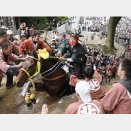 多度大社の「上げ馬神事」（桑名市）／（Ｃ）共同通信社