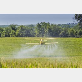 広大な土地では害虫・雑草駆除を飛行機で行う（Ｃ）123rf