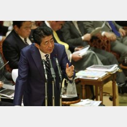 参院予算委で答弁する安倍首相（Ｃ）日刊ゲンダイ