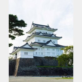 こちらはホンモノの小田原城。このお城を模してつくられた