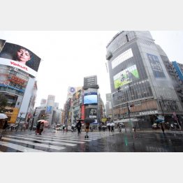 週末に閑散とする東京・渋谷（Ｃ）日刊ゲンダイ