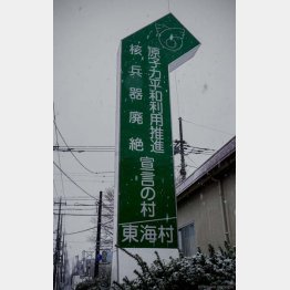 （写真）友永翔大