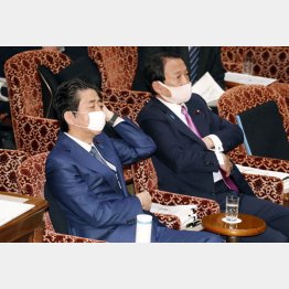 何も困らない政治家たちが「１０万円で自粛しろ」（昨30日の参議院予算委での安倍首相と麻生財務相）／（Ｃ）日刊ゲンダイ